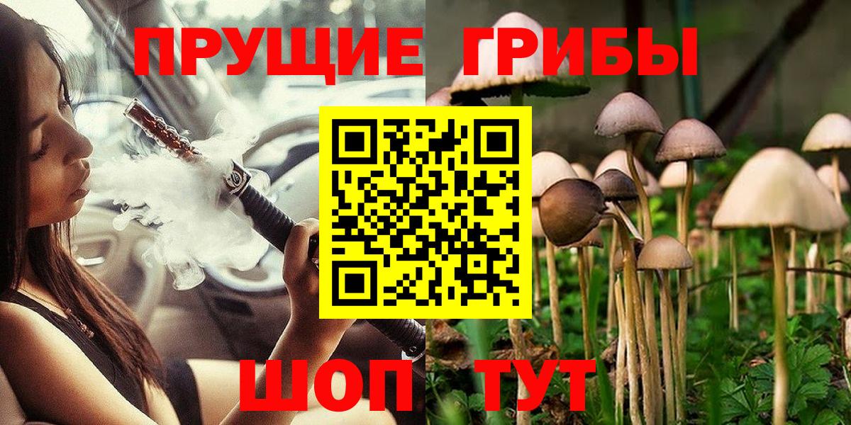 Псилоцибиновые грибы Magic Shrooms Пугачёв